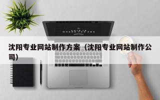 乐平沈阳专业网站制作方案（沈阳专业网站制作公司）
